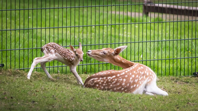 86dbf8c3-830a-48c6-a239-dca8a89f4241