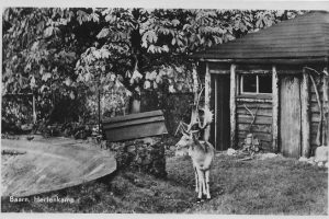 ansicht-1951 ansicht-1951