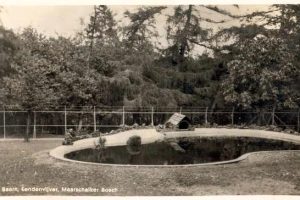 baarn-eendenvijver baarn-eendenvijver