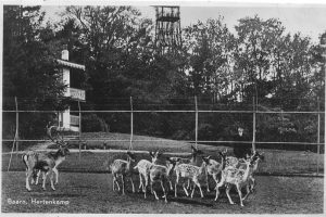 herten-met-toren0053