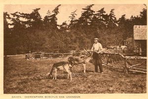 hertenkampsuik3 hertenkampsuik3