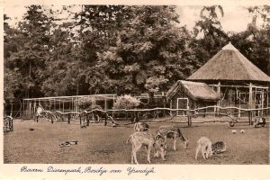 hertenkampsuik4 hertenkampsuik4