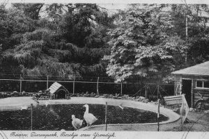 vijver0054 vijver0054